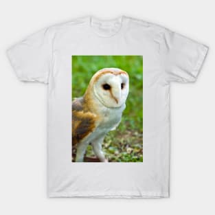 Barn Owl T-Shirt